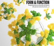 [표지로 읽는 과학] 단백질 설계 인간계 '지존'이 만든 '항체 케이지'