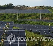 "태양광 산림훼손에 온실가스 감축기능 700억원치 손실"