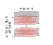 '정보 저장능력 10배' 신소재 발견..차세대반도체 개발 청신호