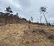 아우디폭스바겐코리아, 강원 산림 녹화 사업 참여.."환경 사업 강화"