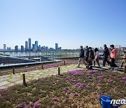 식목일 행사 참석한 문재인 대통령 부부