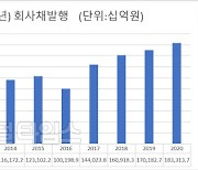 작년 저금리에 기업 자금조달 역대 최대..대부분 빚 갚는데 쓰고 설비투자는 고작 2%