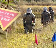 산책로 옆까지 전국 37곳 '지뢰지대'..올해까지 제거한다더니