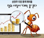 [카드뉴스]상장주 지친 동학개미들 장외 시장서 '대박 꿈'꾼다