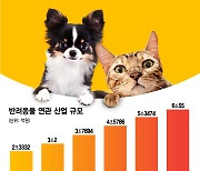 개 치매약·고양이 건기식..K-바이오, 펫코노미도 노린다