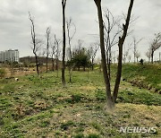 김포한강야생조류생태공원 ′생활환경 숲 특화산책길′
