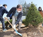 나무 심는 문재인 대통령