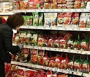 건강식품 '김치' 수출액 54.4% 증가