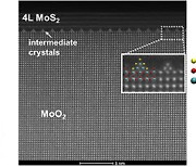 성균관대-삼성전자 종합기술원, 산화물로부터 이차원 반도체 소재 형성 기구 최초 규명