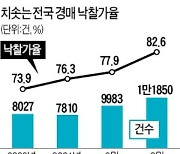 아파트값 오르자 경매도 인기..전국 낙찰가율 82.6% '역대 최고'