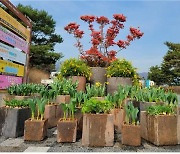 서울대공원, 건강한 조경 위해 수목 정리·봄꽃 식재