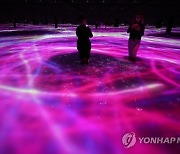 JAPAN ART TEAMLAB PLANETS