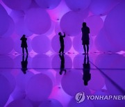 JAPAN ART TEAMLAB PLANETS