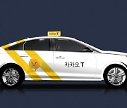 택시4단체 "국토부, 카카오모빌리티 유료화 대책 마련하라"