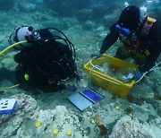 물질하던 해녀가 발견한 보물선..제주 신창리 3차 수중발굴조사 착수