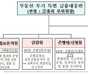 [보도참고] 부동산 투기 근절을 위한 금융부문 지휘 본부「특별 금융대응반」을 지휘하는 '총괄기획단'이 출범합니다.