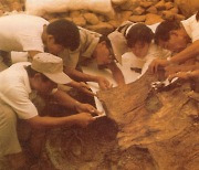 경주 고분발굴 모두 참여한 유일 전공학자, 50년 연구 집대성