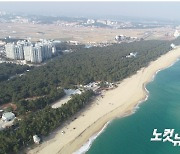 해안숲 보존 방안 모색..강릉지속가능발전協 포럼 개최