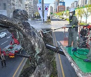 송파구, 올림픽 상징 조형물 세척
