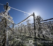 SWITZERLAND AGRICULTURE FRUIT TREE FROST