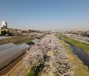 인천 서구, 공공분야 드론 활용 '스마트패트롤' 날다