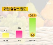 SBS생방송투데이, 계절성 우울증 극복법 소개..하루 2알 썬골드키위 섭취