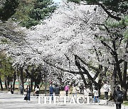 [오늘의 날씨] 아침 쌀쌀·한낮 포근..큰 일교차 유의