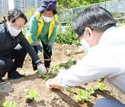 [포토]채현일 영등포구청장, 텃밭 모종 심으며 '도시농업의 날' 기념