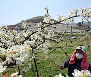 출근길 5도 이하 쌀쌀한 아침..일교차 큰 날씨 계속