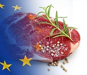 아일랜드·프랑스산 소고기 수입 허용될 듯..수입위생조건 협의