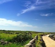 제주 올레 '세계 10대 해안 걷기여행 코스' 선정