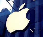 UBS "애플, 자율주행 기술 특허 받았다..주가 9% 올라야"