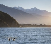 봄바람 타고 온 뉴질랜드-호주 트래블 버블 소식.. 뉴질랜드 해안 경관 여행지