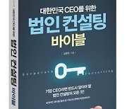 [신간] 대한민국 CEO를 위한 법인 컨설팅 바이블