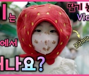 문희준♥소율, 잼잼이와 함께 딸기 농장 체험 (재미하우스)