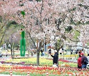 대구·경북 대체로 맑음..낮 최고 15도