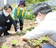 '도시농업의 날' 기념 모종 심는 채현일 영등포구청장