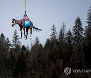 SWITZERLAND TRANSPORT HORSES