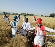 INDIA VISAKHI FESTIVAL CELEBRATIONS