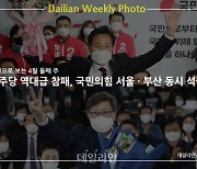 [데일리안 주간 포토] 민주당 역대급 참패, 국민의힘 서울•부산 동시 석권