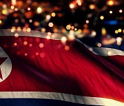 "북한 해커, 신종 악성코드로 남아공 물류회사 공격"