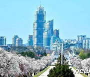 북한 "만경대·모란봉·보통문 평양 곳곳은 꽃바다"