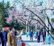 북한, 태양절 앞둔 수도 평양에 "꽃향기 나는 꽃계절"