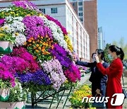 "온통 꽃바다"..평양 거리서 꽃구경하는 북한 주민들