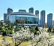 북한 "평양 어디서나 봄철 특유의 자연풍경"