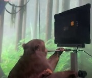 뇌에 컴퓨터 칩 이식..생각만으로 게임 하는 원숭이