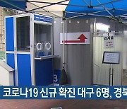 코로나19 신규 확진 대구 6명·경북 13명
