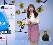 [뉴스9 날씨] 내일 전국 비..남해안·제주·지리산 최고 80mm