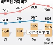 '한방' 노리는 한국인들.. 코인 쏠림에 '김치 프리미엄' 가중