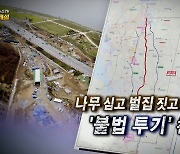 [연합뉴스TV 스페셜] 173회 : 나무 심고 벌집 짓고, '불법 투기' 천태만상